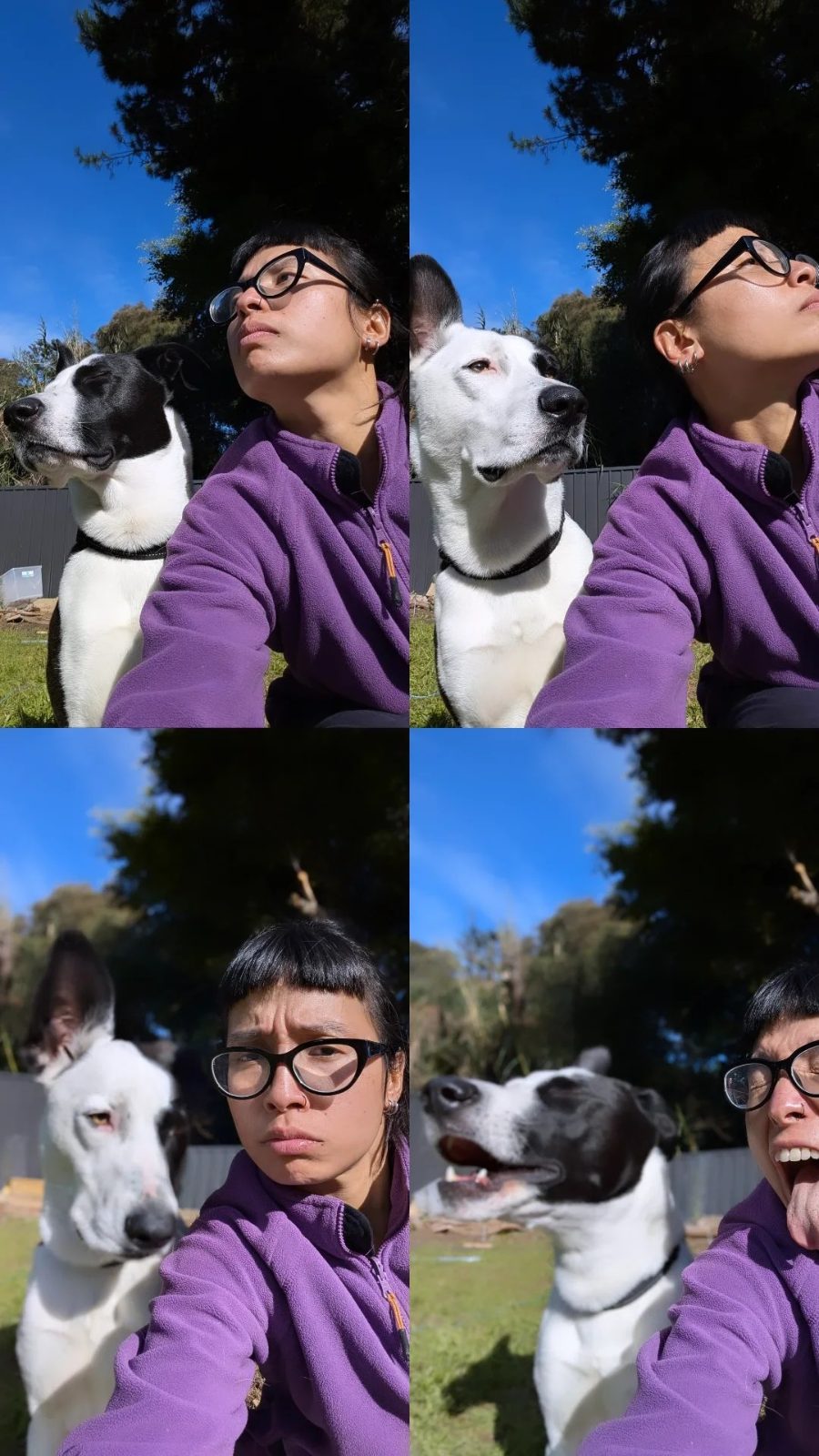 Four selfies of Karina in a purple fleece with her black and white dog in the garden